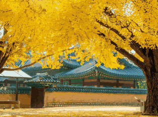 韩国外贸数据,外贸数据,k8凯发国际外贸数据